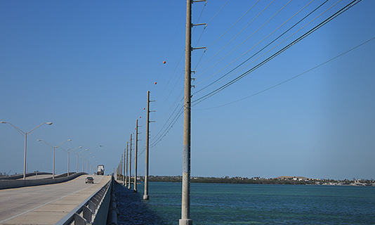 LCEC transmission poles